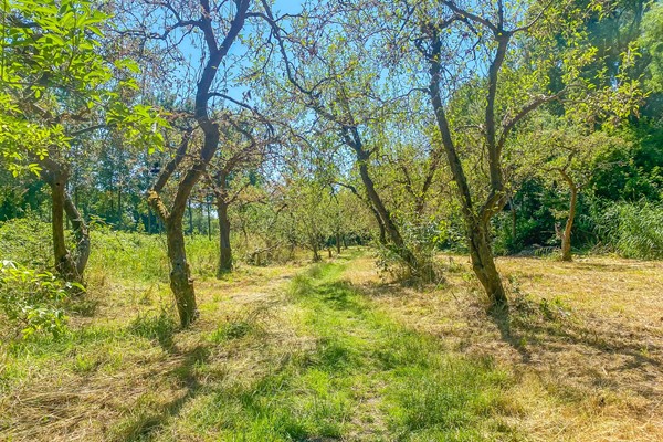 Medium property photo - Chilidreef 9, 3563 HD Utrecht